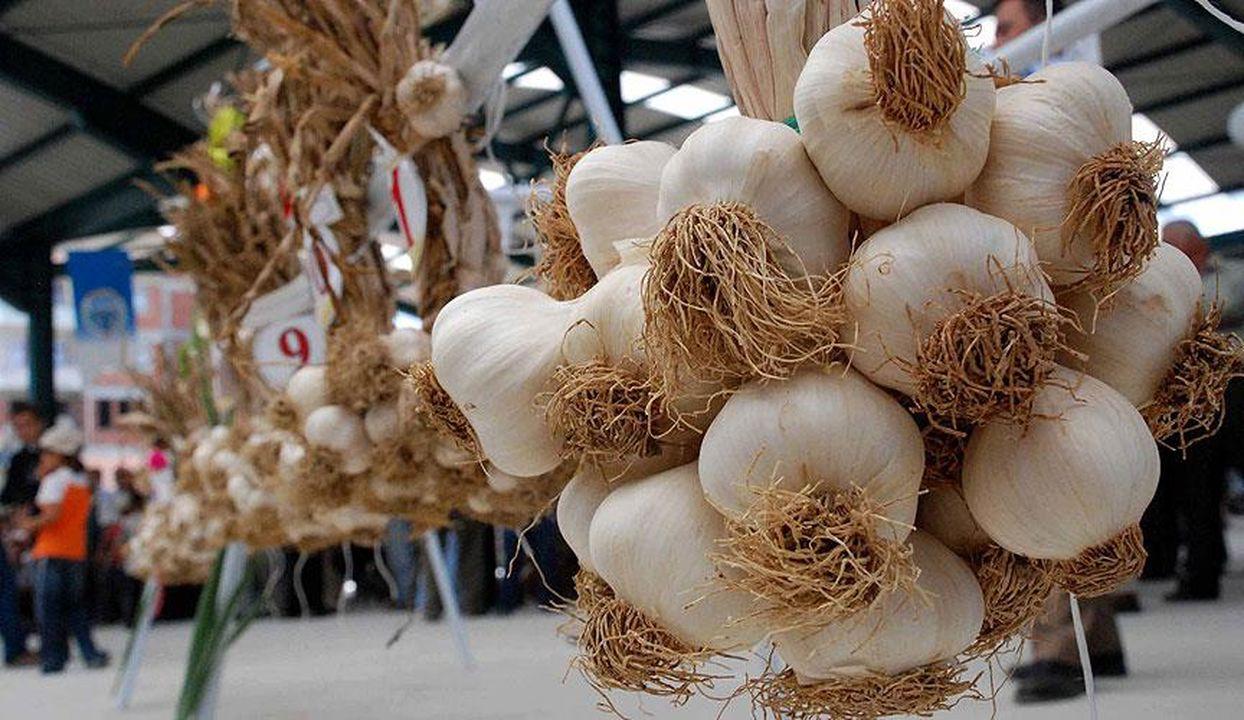 Sarımsak kabuklarıyla yaşlanmayı unutun! Çöpe atmak büyük hata
