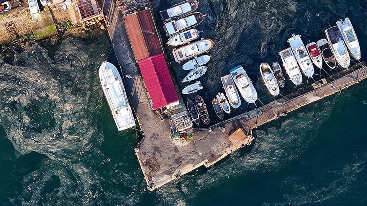 Marmara Denizi'nde "deniz salyası" olarak da bilinen müsilaj yeniden görüldü