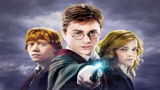Çöpteki harry potter 940 bin tl‘ye satıldı