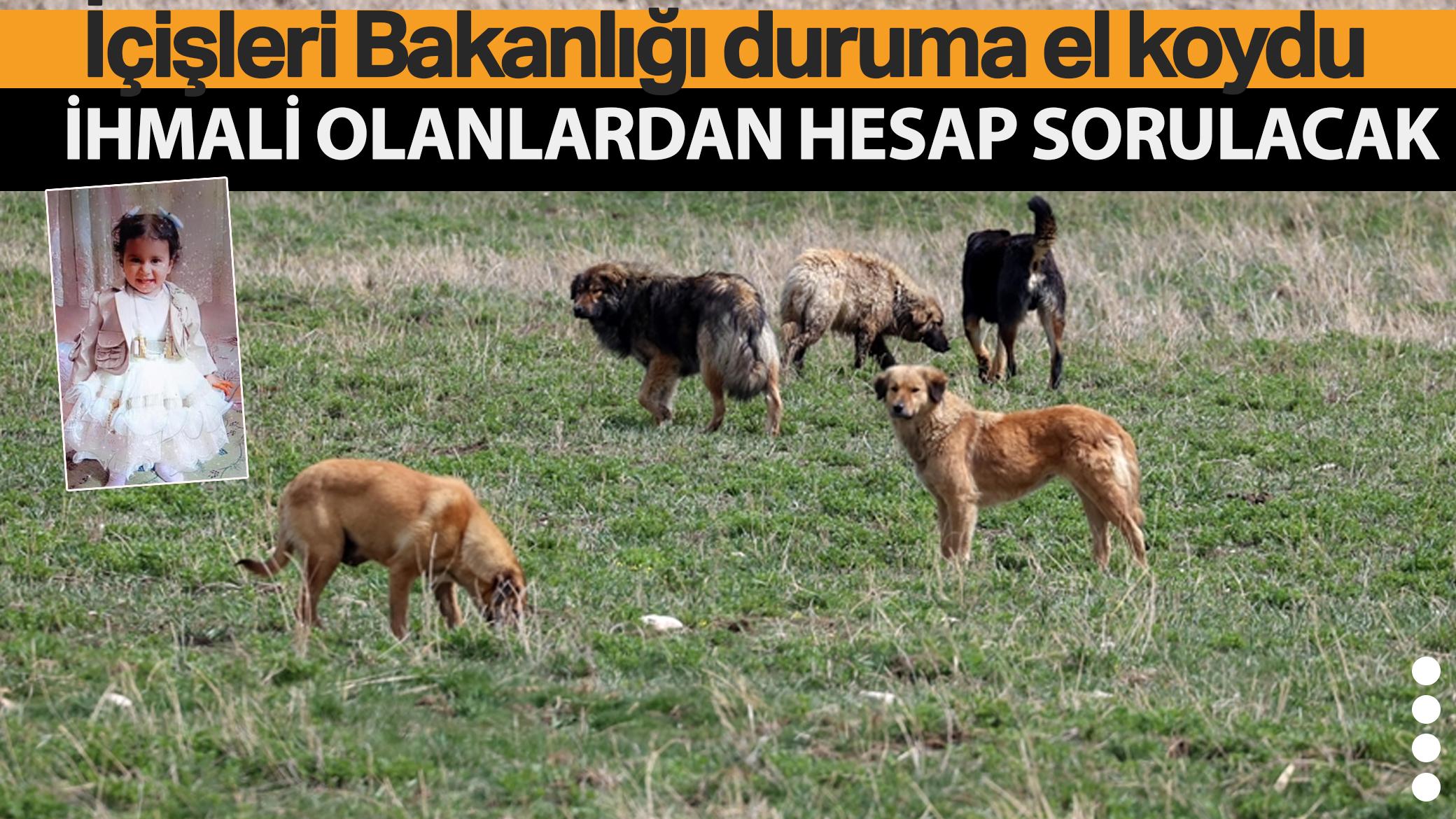 İçişleri Bakanlığı duruma el koydu! İhmali olanlardan hesap sorulacak