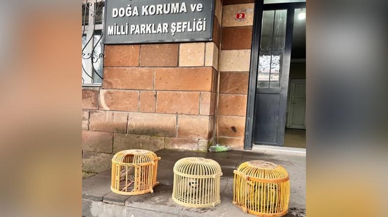 Tatva'da yasadışı avlanan şahsa ceza kesildi
