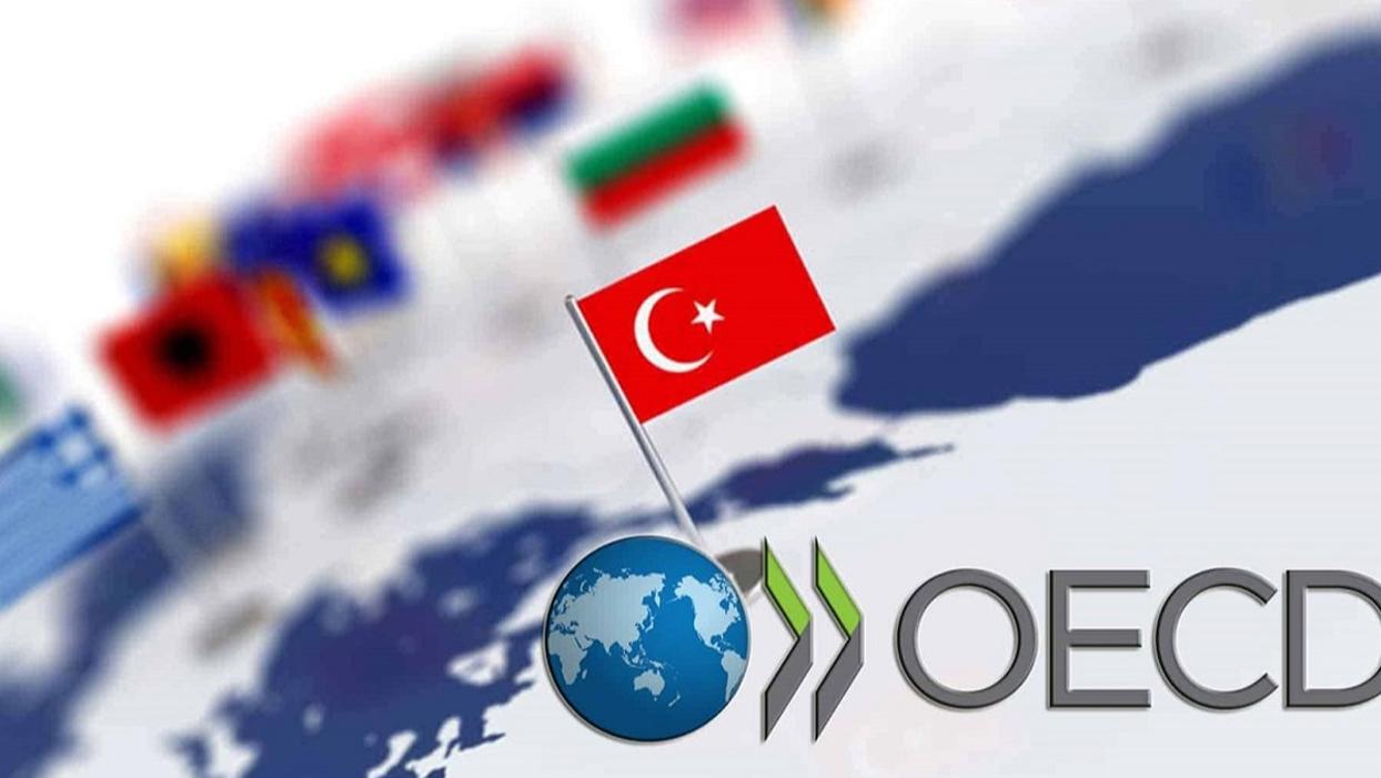 OECD'nin raporuna göre Türkiye ekonomisi hızla büyümeye devam ediyor