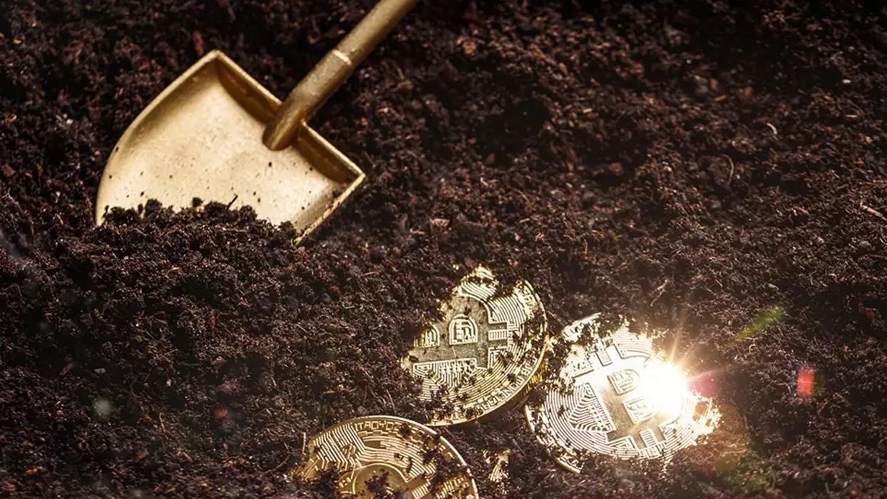 Dikkatini çekti ve kazdı: 150 tondan fazla altın çıktı! Kimsenin aklına gelmezdi...