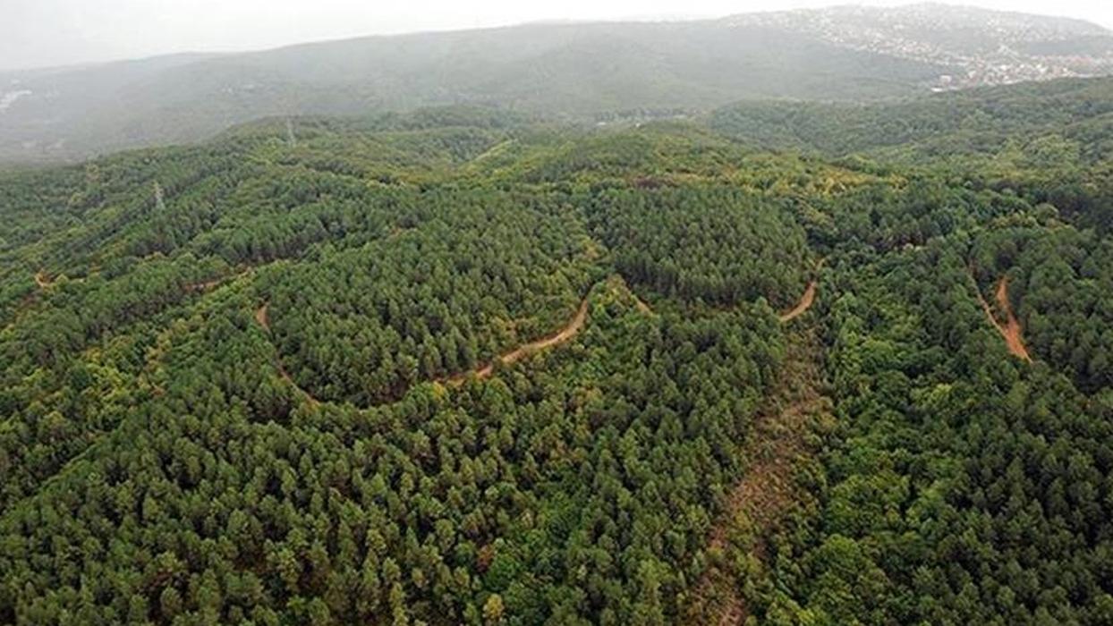 "Orman Benim" kampanyası 9 Mayıs'ta 81 ilde düzenlenecek