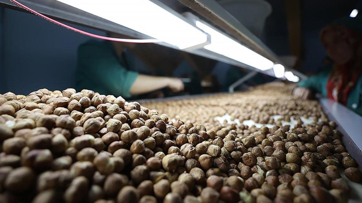Fındık ihracatından 852 milyon dolarlık gelir