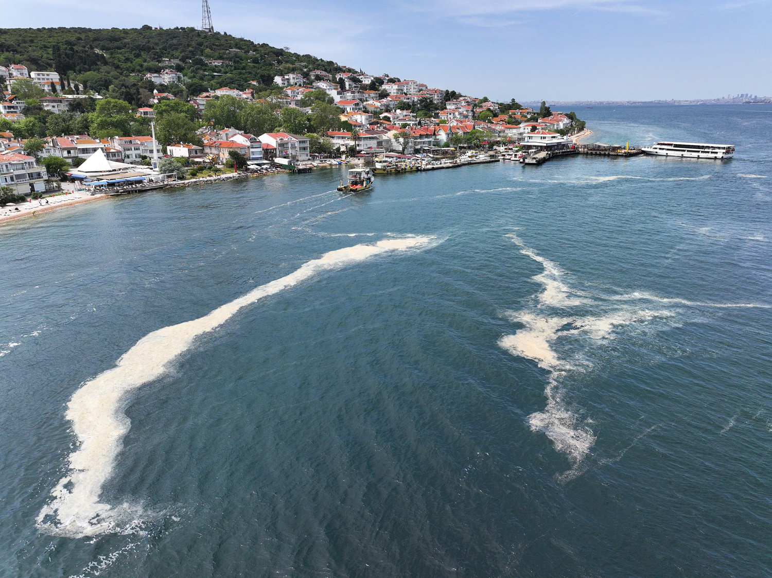 Müsilaj kabusu geri döndü: Marmara Denizi salyadan geçilmiyor
