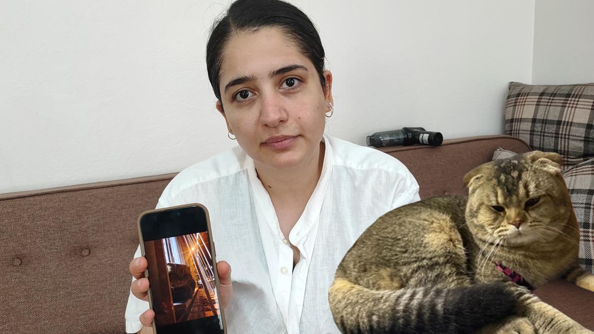 Adana'da kaybolan kedi için 15 bin TL ödül verilecek! Kadının duygusal anları...