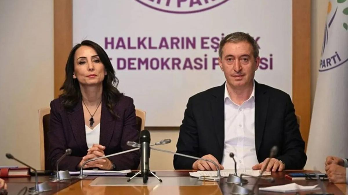 DEM Partisi terörsüz Türkiye sürecini il il anlatacak!