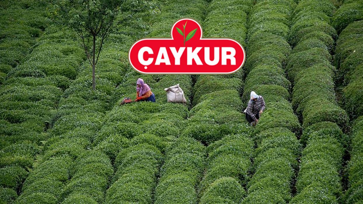 ÇAYKUR 2025 işçi alımı kura sonuçları! ÇAYKUR işçi alımı kura çekimi asil ve yedek listesi