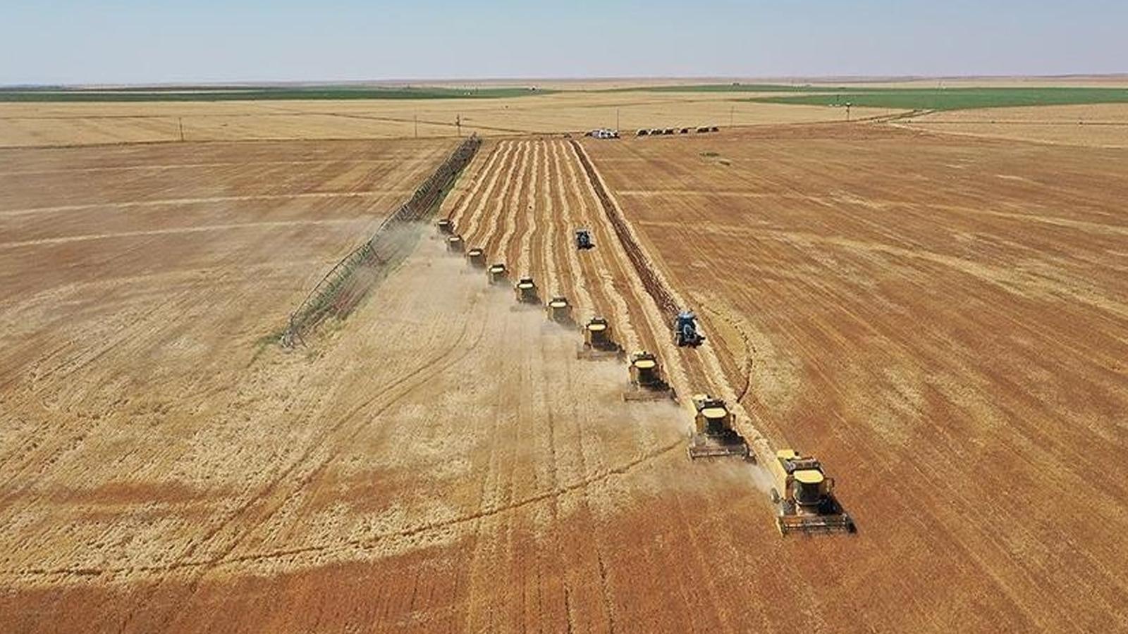 Tarım Bakanı Yumaklı: 329 hayvancılık projesine 3,6 milyar lira hibe