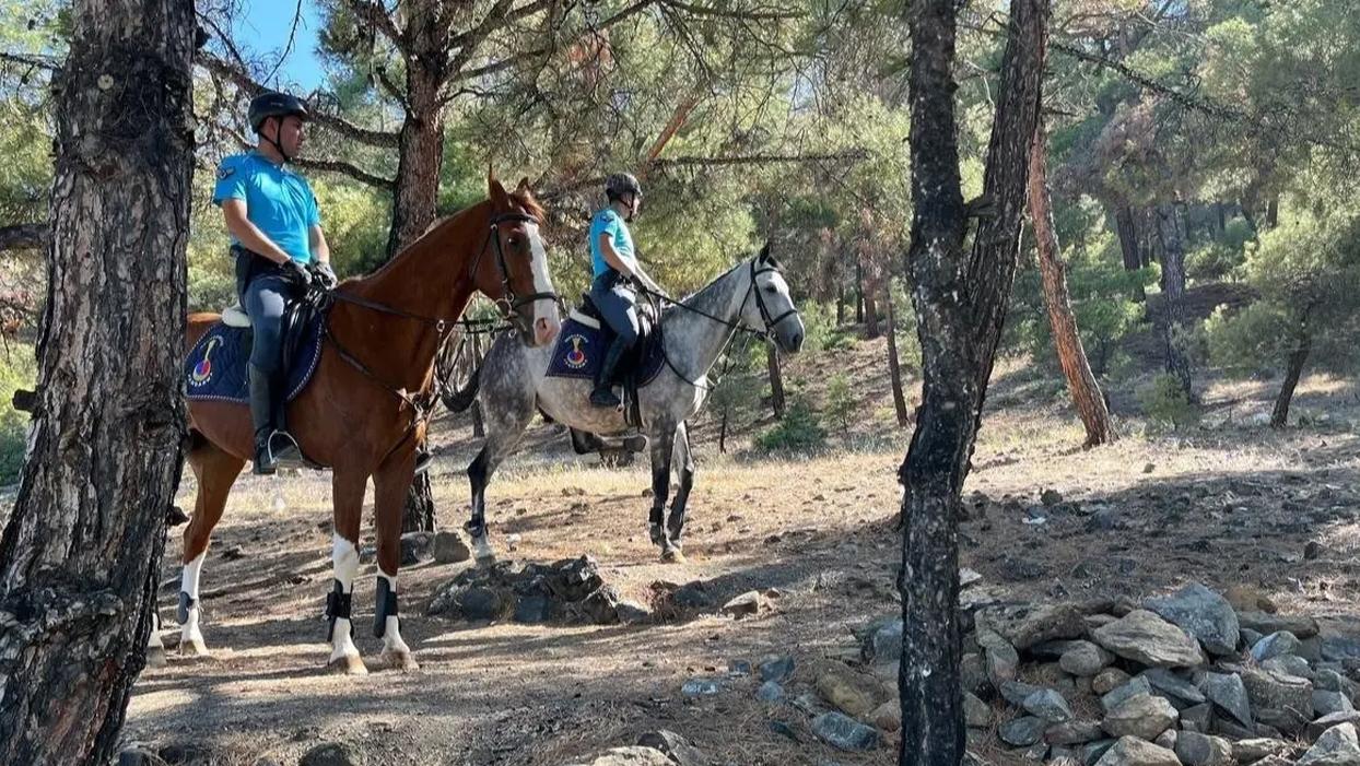 Burdur'da orman yangınlarını önlemek için ormanlık alanlara girişler izne tabi oldu