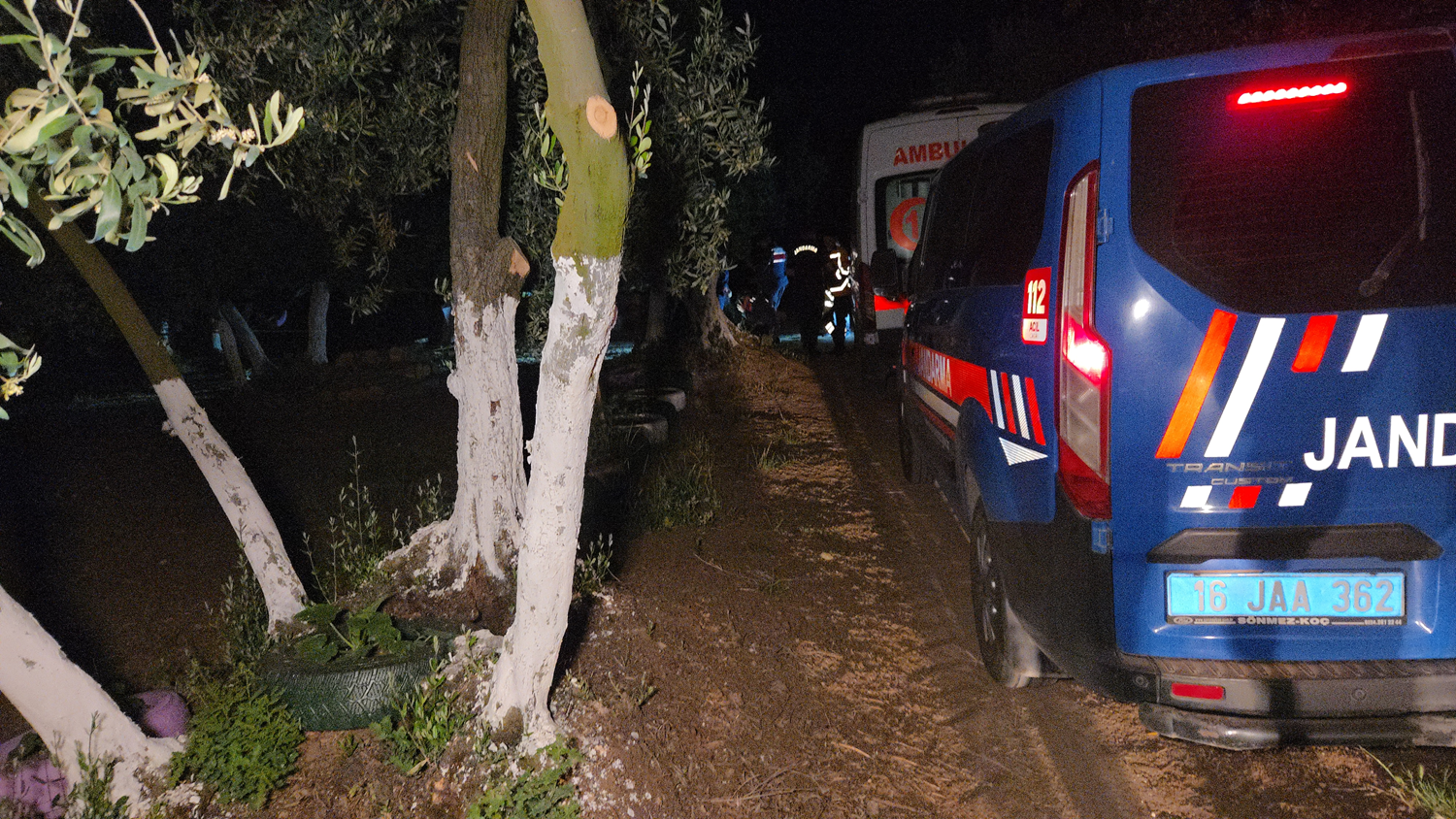 Bursa'da çiftlik evinde baltayla cinayet!