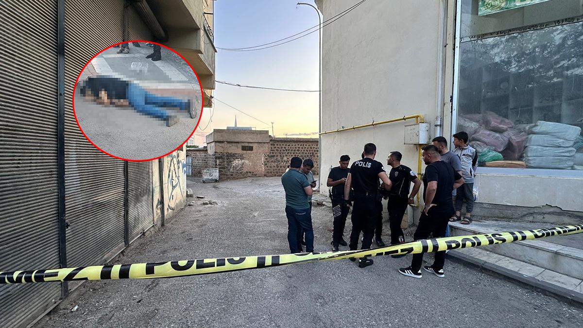 Cinayetin adresi Şanlıurfa: 1 ölü 3 tutuklama