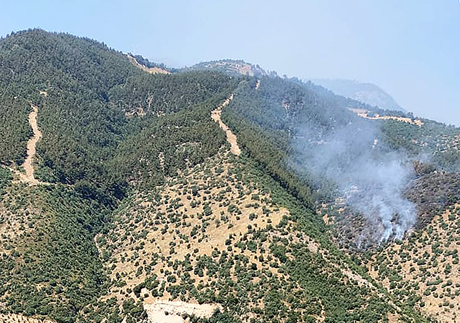 Manisa'da ormanlık alanda yangın çıktı