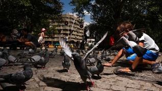 Ankara Valiliğinden yüksek sıcaklık uyarısı