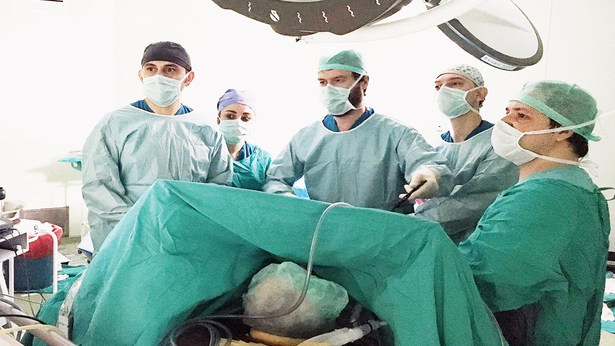 Samsun'dan 3 kişiye umut: Beyin ölümü gerçekleşen vatandaşın organları bağışlandı