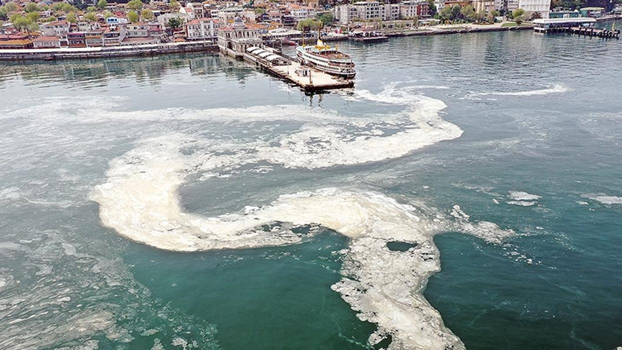 Marmara Denizinde müsilaj beklentisi azaldı: 2021'deki gibi yüzeye çıkmasını beklemiyoruz