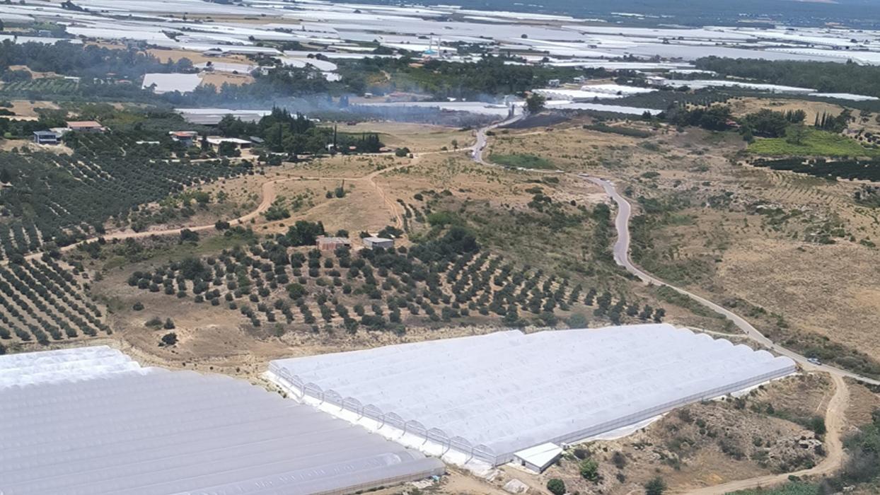 Antalya'da makilik alanda yangın çıktı