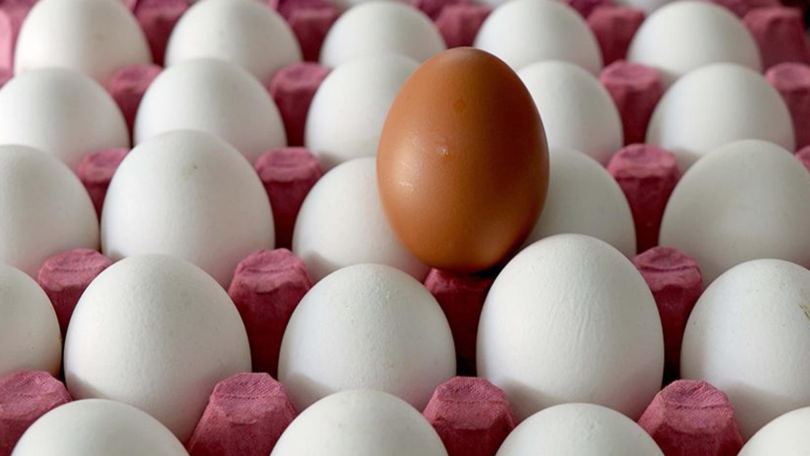 Yumurta ihracatında yeni düzenleme
