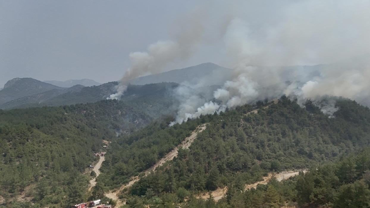 Sakarya, Bilecik ve Eskişehir'deki orman yangınlarına müdahale sürüyor