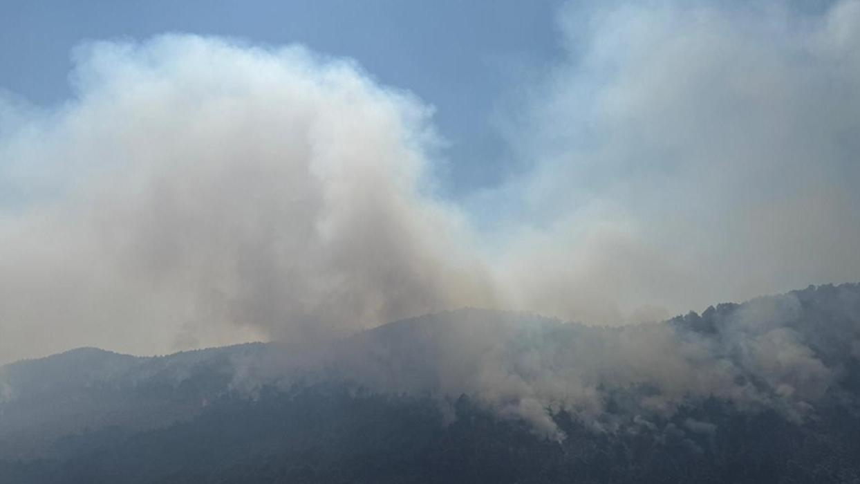 Sakarya, Bilecik ve Eskişehir'deki orman yangınlarına müdahale sürüyor