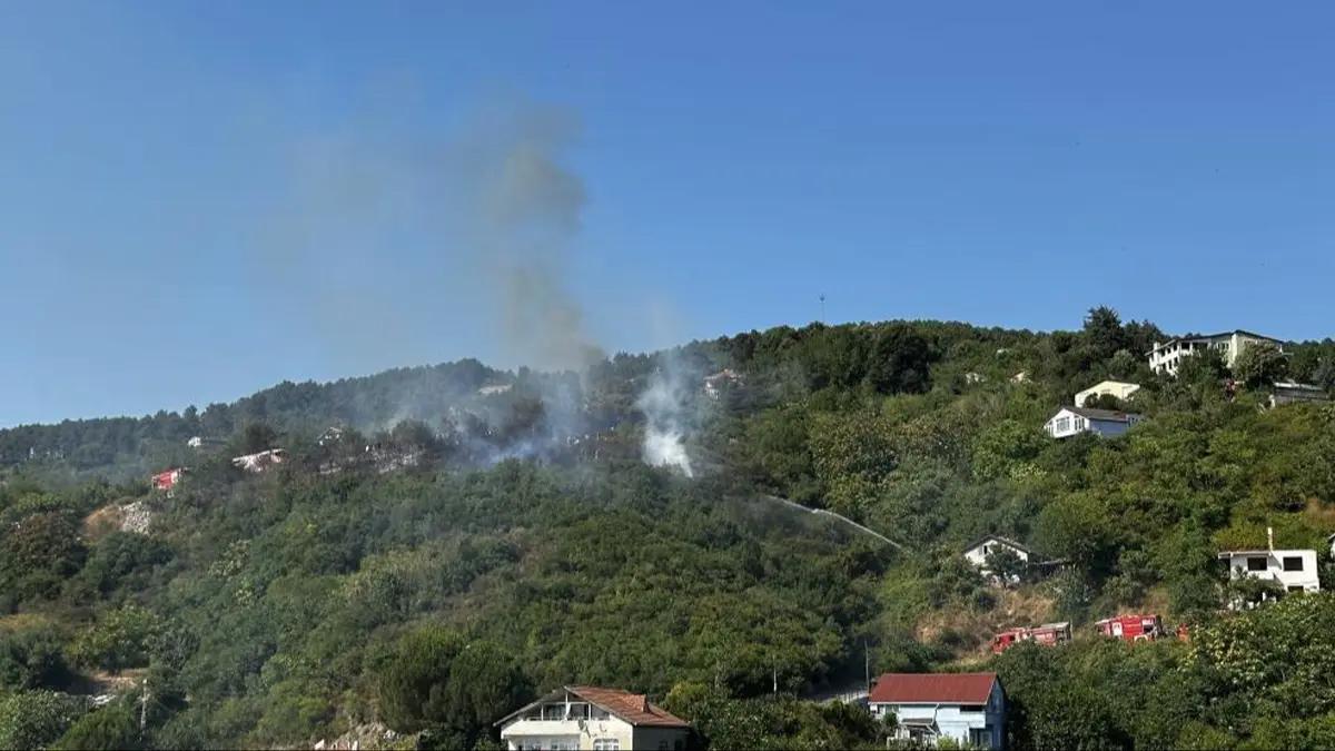 Beykoz'da ormanlık alanda yangın çıktı