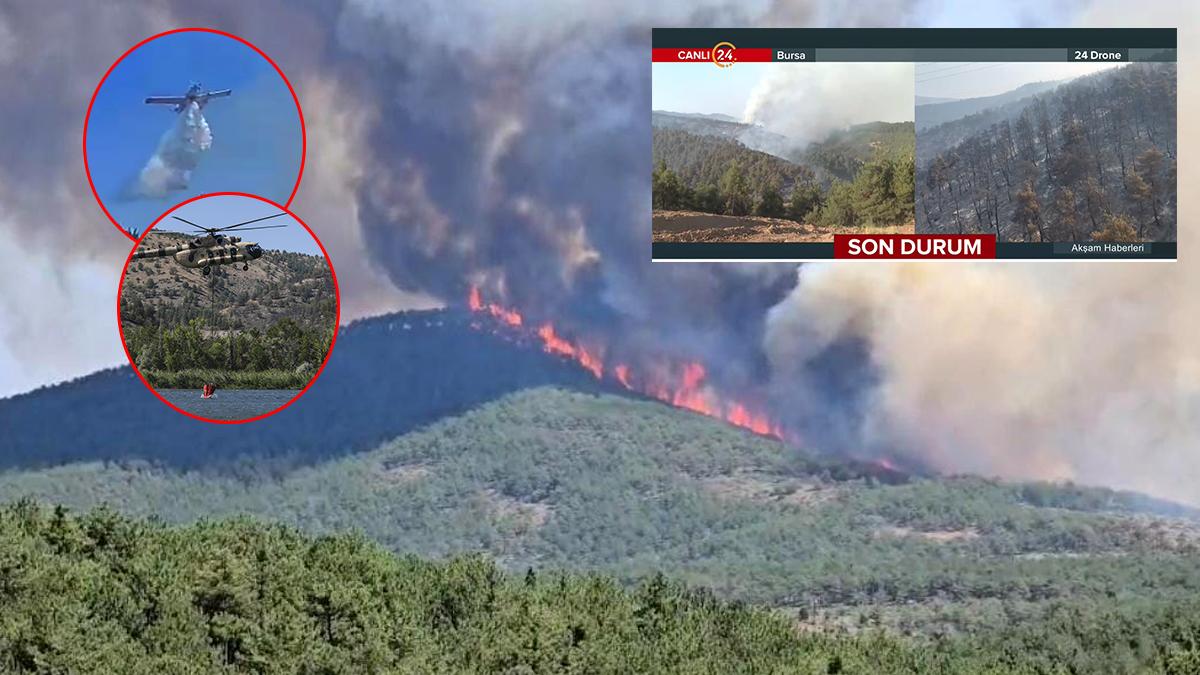 Orman yangınlarına ilişkin son durum: 3 kişi tutuklandı