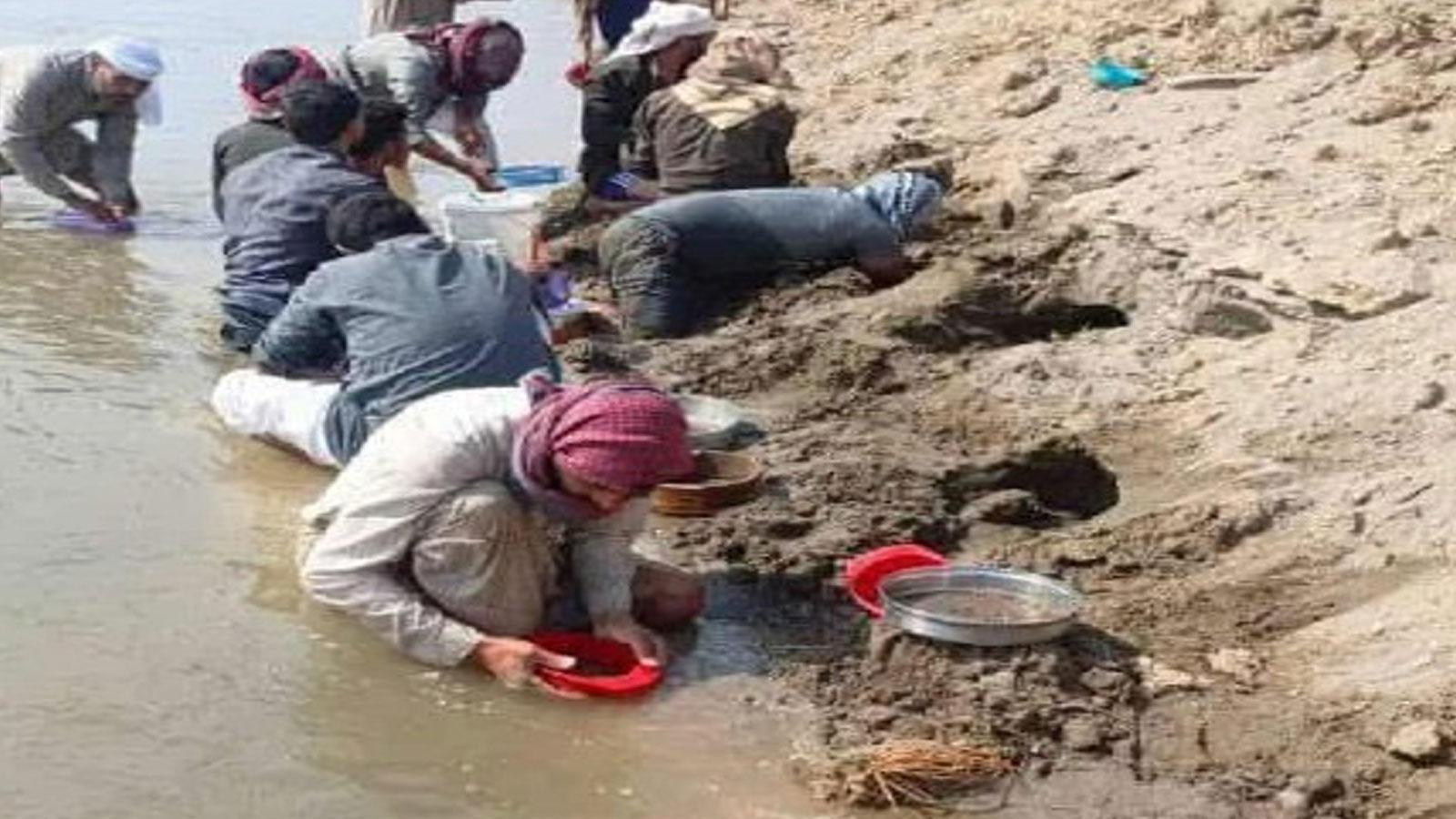 Fırat Nehri kıyısında altın araması: Gerçekte yaldızlı altın bulundu!