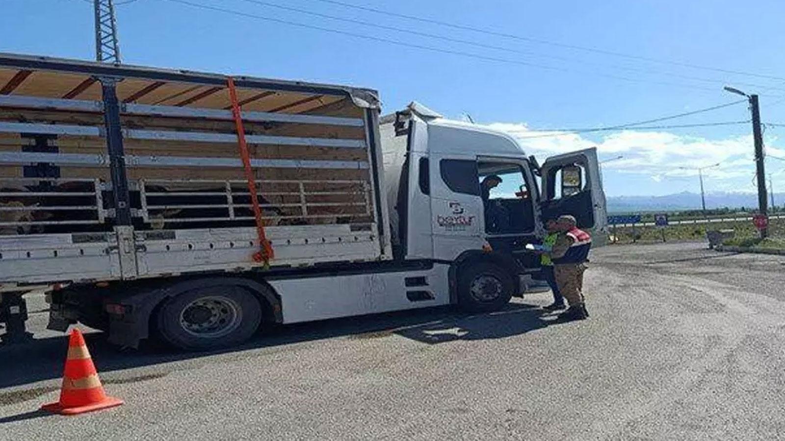 Erzurum Jandarması, kaçak yollarla ülkeye giren 24 göçmeni yakaladı