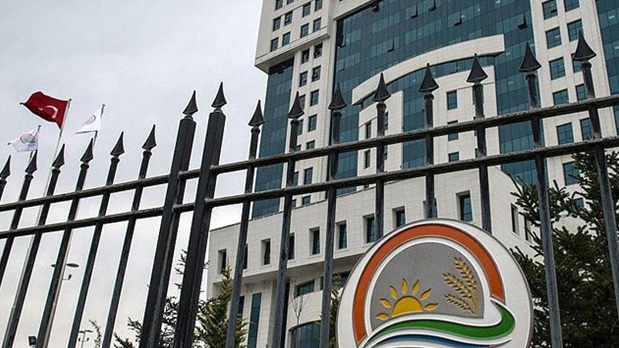 Tütün mamullerine yönelik esaslar düzenlendi