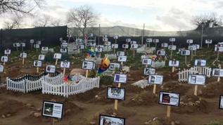 Kaçak evcil hayvan mezarlığı! Fırsatçılar iş başında