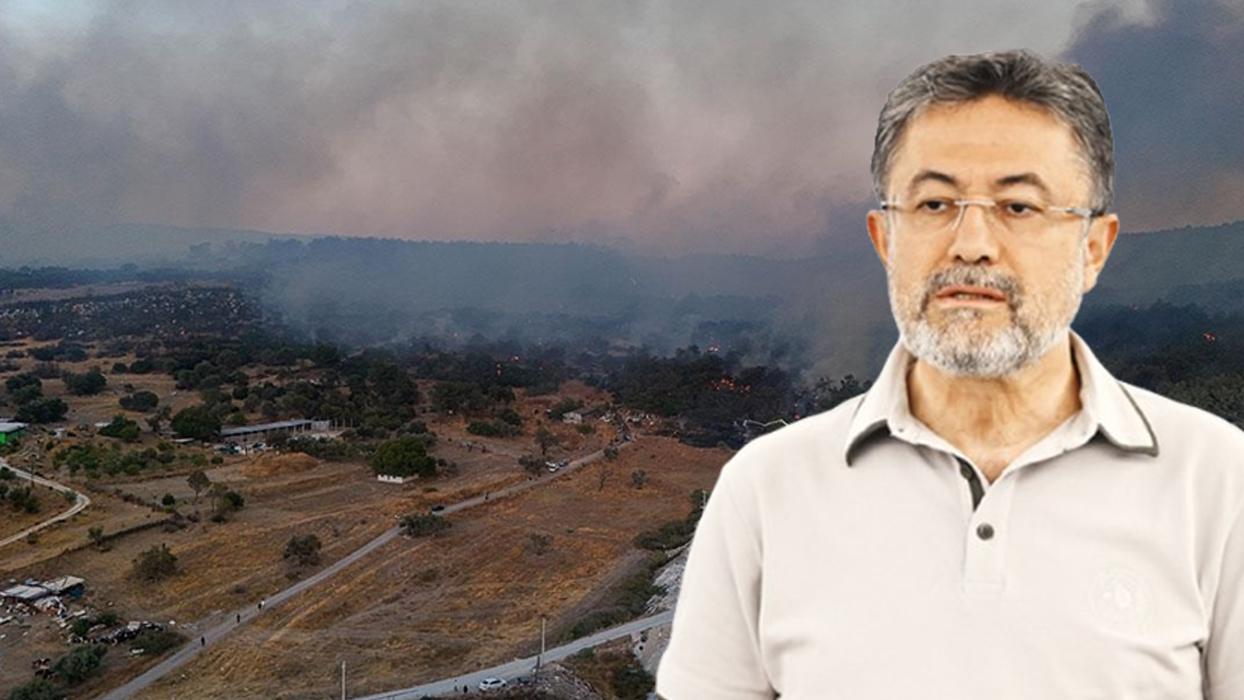 6 ilde orman yangınları kontrol altına alındı