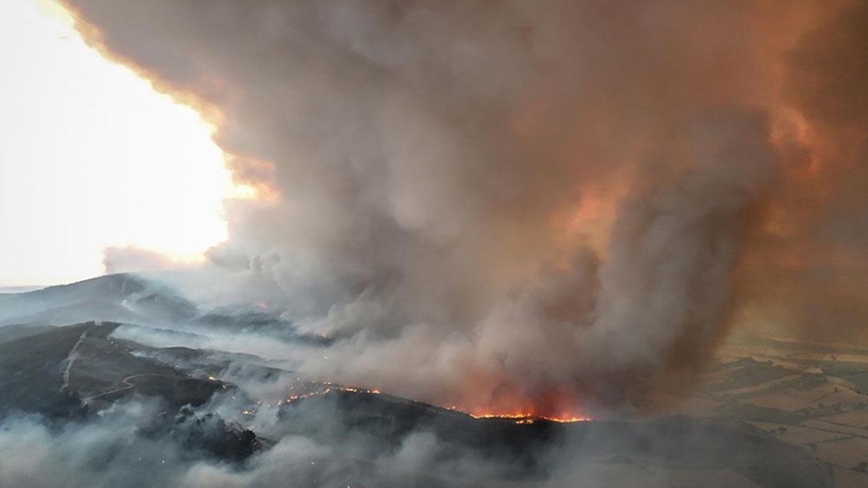 Çanakkale ve Sinop'ta ormanlık yangını! Ekiplerin müdahalesi sürüyor