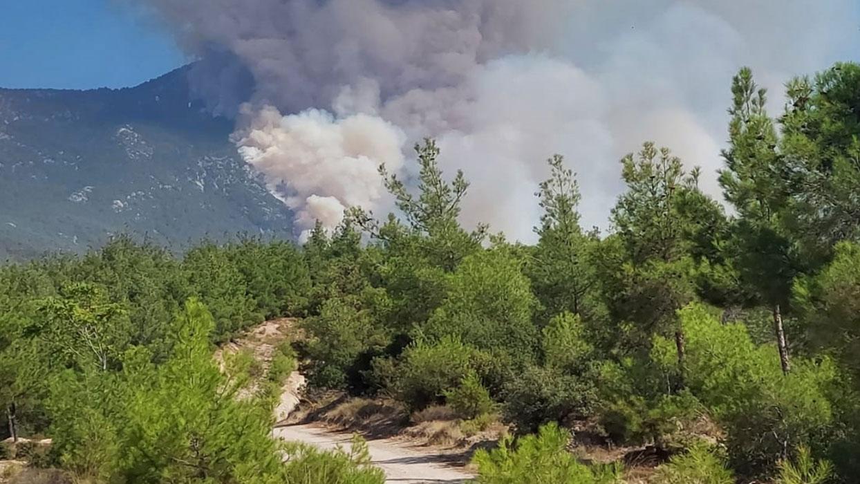 Pamukkale'de yangın: Havadan ve karadan müdahale başladı