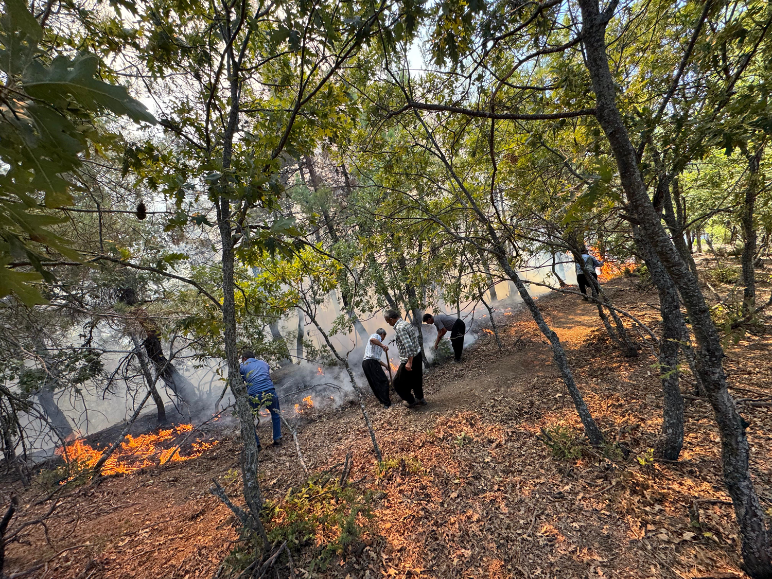 Adana Feke'de orman yangını çıktı