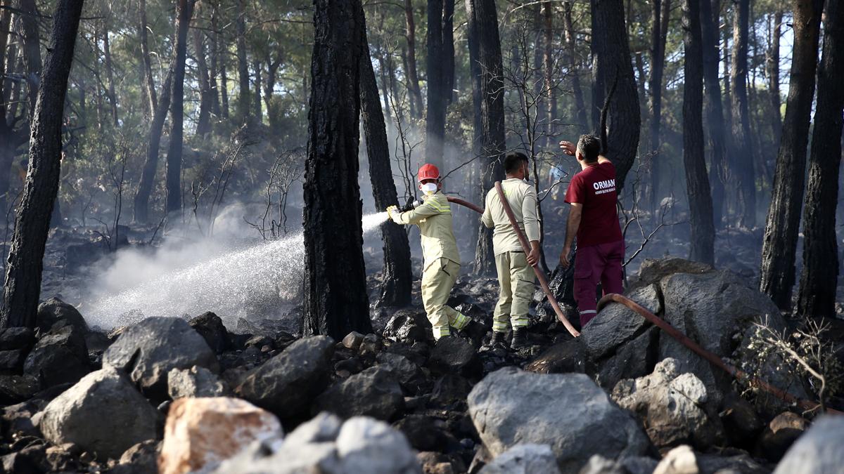Muğla'dan sevindirici gelişme: Orman yangını kontrol altına alındı