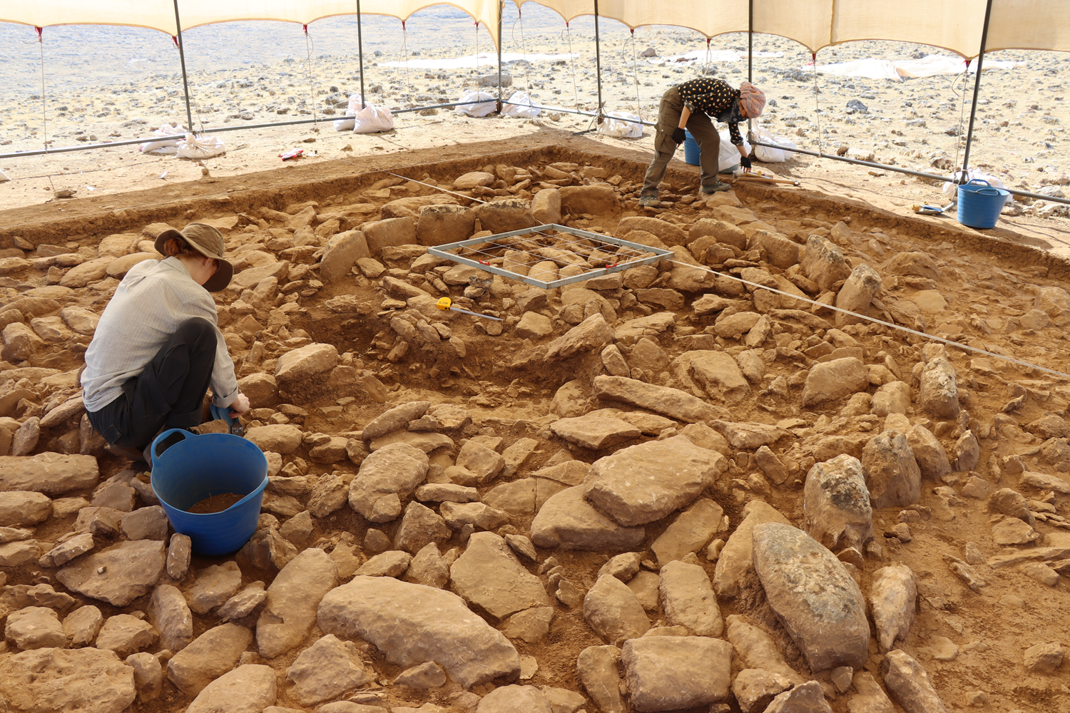 Göbeklitepe'den önce inşa edildiği düşünülen Mendik Tepe gün yüzüne çıkarılıyor