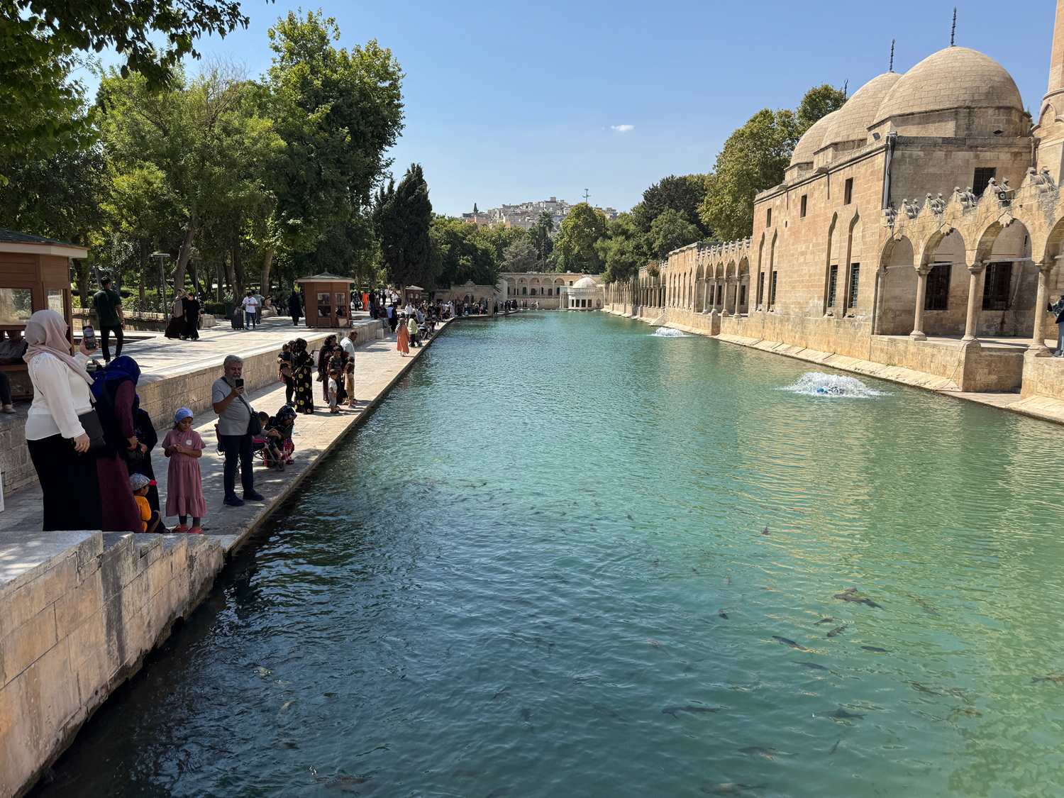 Şanlıurfa'da termometreler 49 dereceyi gösterdi
