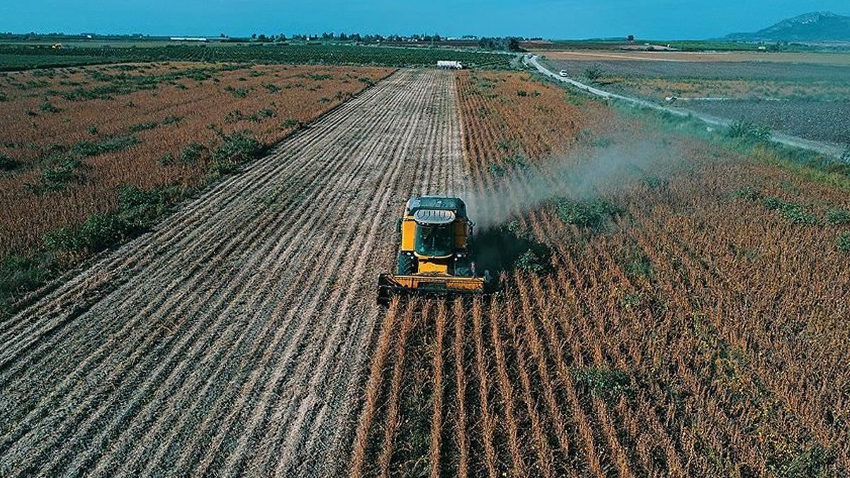 Tarımda dev destek… Bakan Yumaklı: 772 milyon liralık ödeme çiftçilerin hesaplarında