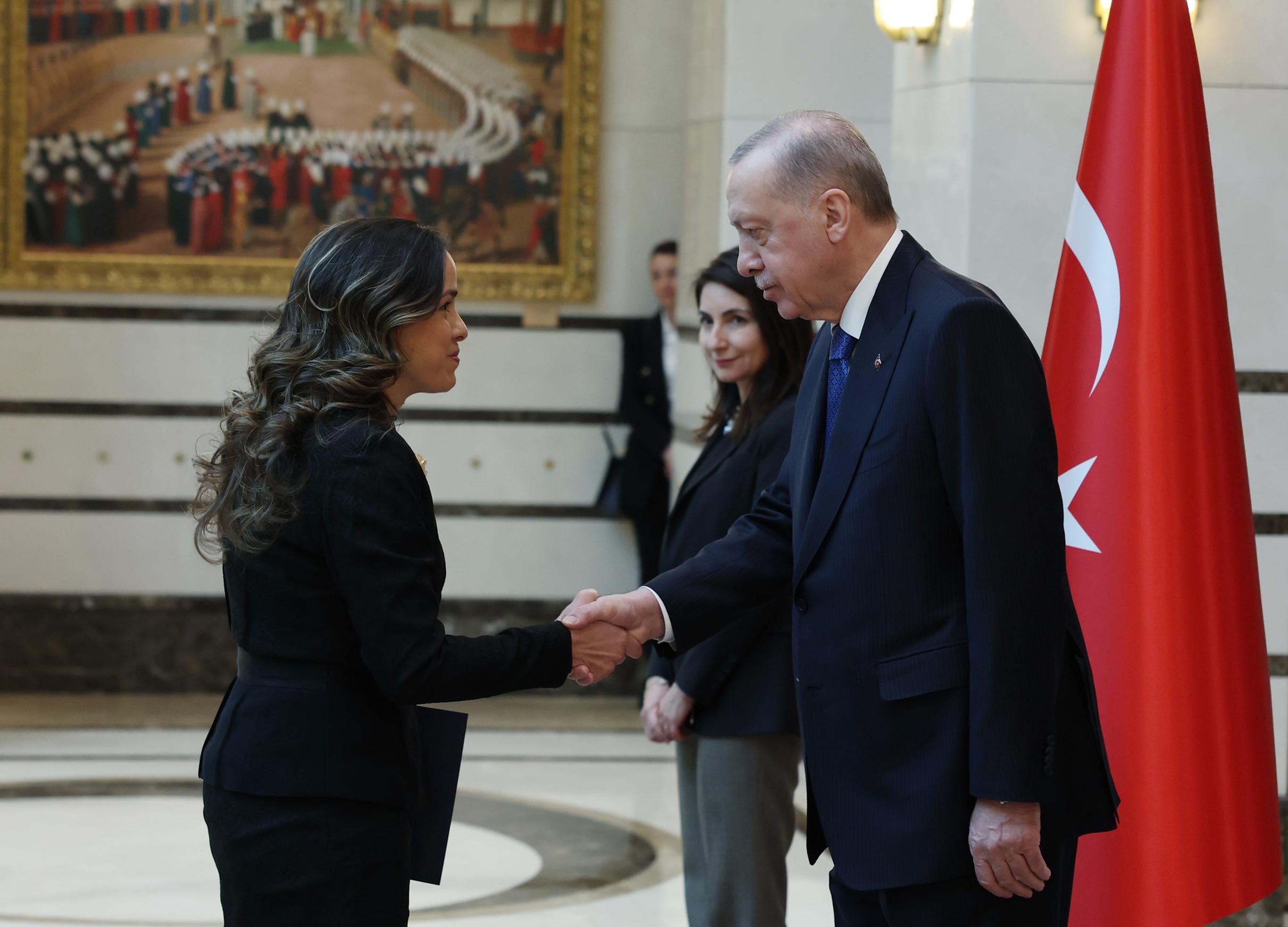 Büyükelçiler, Cumhurbaşkanı Erdoğan'a güven mektuplarını sundu