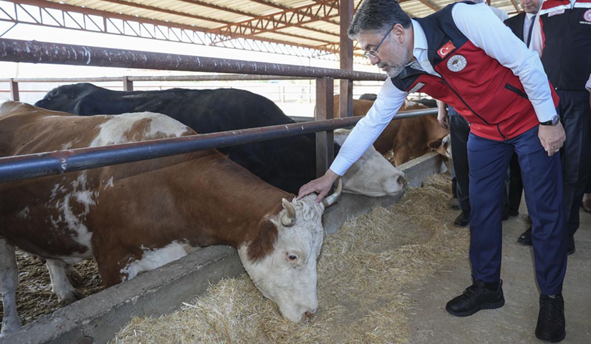 Tarım ve Orman Bakanı Yumaklı: Hayvan pazarları 81 ilimizde açılacak