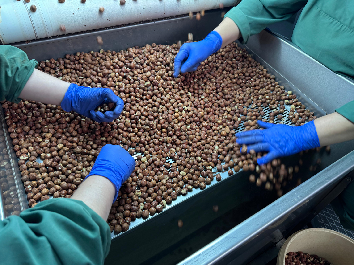 Türk fındığı geçen sezon 124 ülkede alıcı buldu