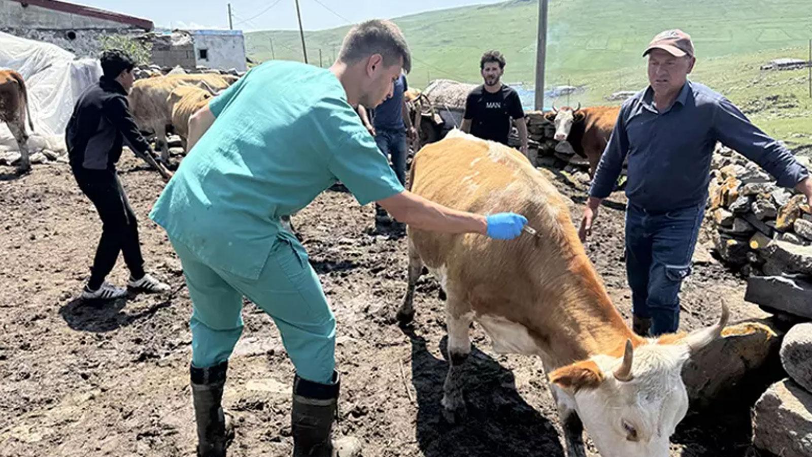 Türkiye SAT-1'e karşı seferber oldu: 15 milyon doz aşı sahaya sürüldü