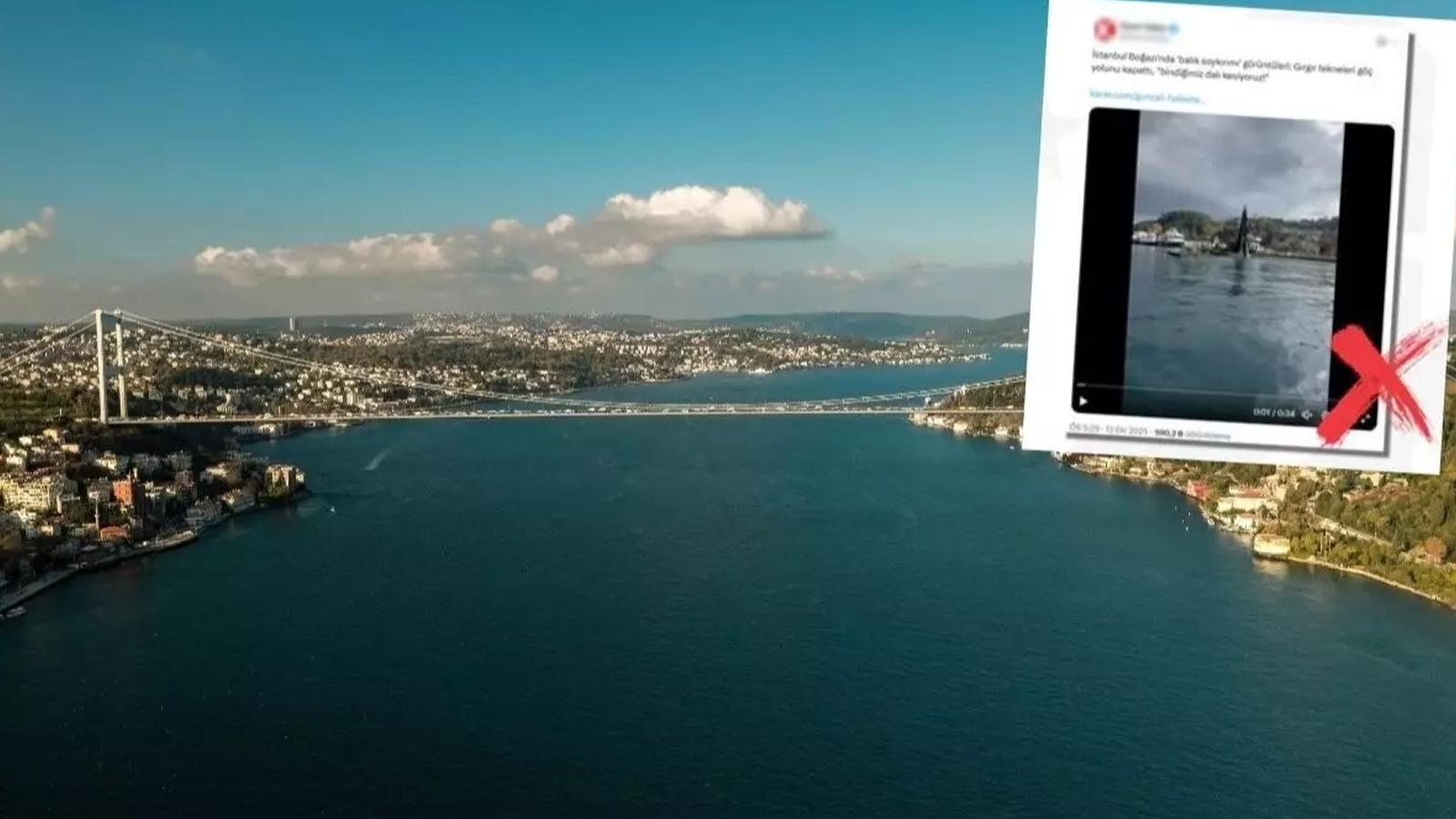 Bakanlık rakamlarla konuştu! Boğaz'da ''balık soykırımı'' iddiası dezenformasyon çıktı