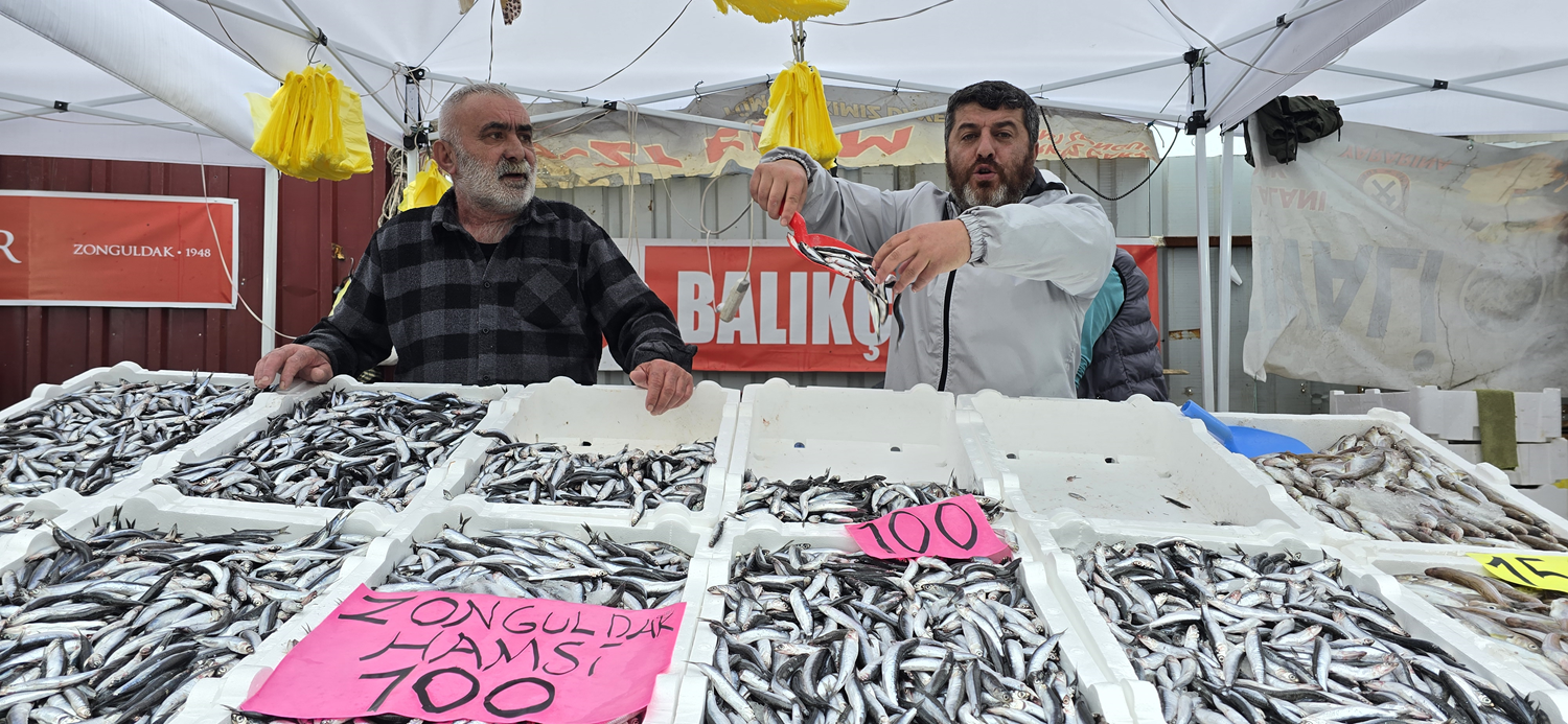 Zonguldak'ta hamsi bolluğu yaşanıyor