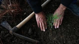 Kabine üyelerinden "Yeşil Vatan Seferberliği"ne destek