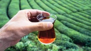 Türk çayı ihracatı 22 milyon doları aştı