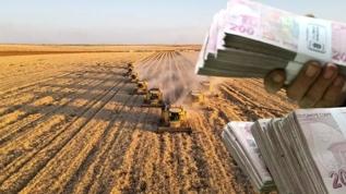 Tarım sigortası olmayan çiftçiye de destek geldi! 20 milyar 423 milyon hesaplara yatırıldı