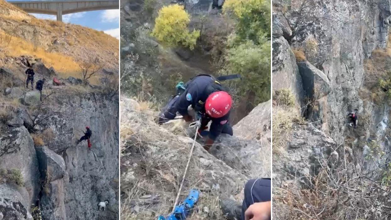 Uçurumda mahsur kalan keçi titiz bir operasyonla böyle kurtarıldı