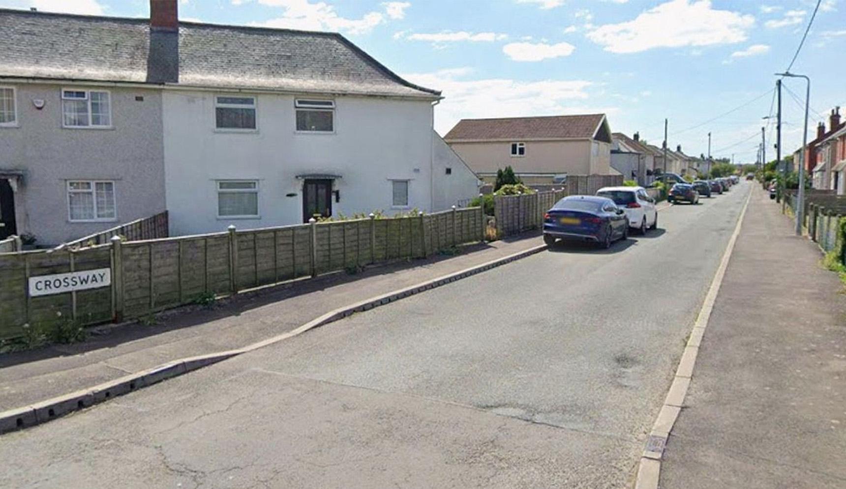 Dokuz aylık bebek Galler'de köpek saldırısında yaşamını yitirdi